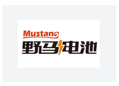 南孚電池